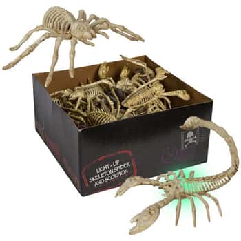 Skeleton Spider/scorpion Lightup Color Change Batt Inc Bone Color/24pc Pdq 8in L Approx/hall Ht