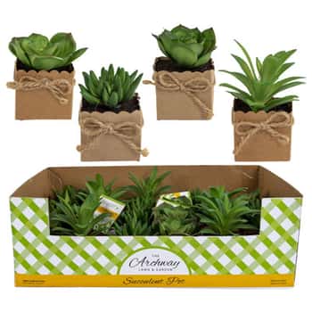 Succulent Mini In Paper Wrapped Pot W/twine Bow 4ast 24pc Pdq Approx 4in H/ea Hangtag