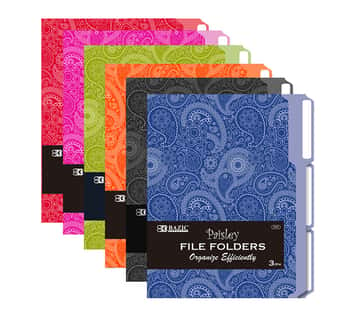 1/3 Cut Letter Size Paisley File Folder (3/Pack)