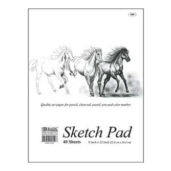 40 Ct. 9" X 12" Premium Sketch Pad