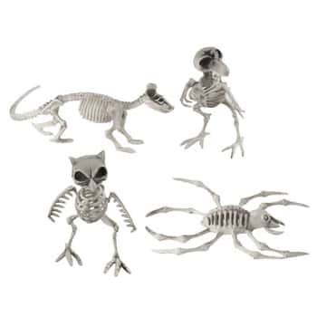 Skeleton Animal 4ast In 18pc Pdq Plastic Crow 7in H/rat 11in L/owl/spider 8in Ht