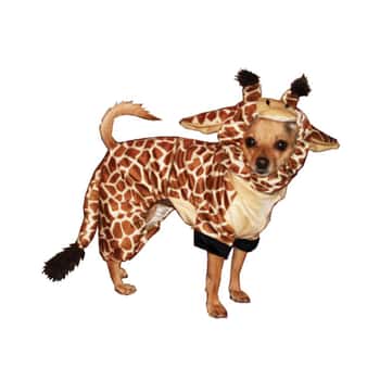 Giraffe Pet Costume