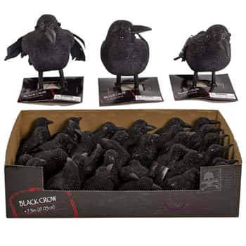 Crow Black Glitter W/feather Tail 3ast 5.5/6.8in 36pc Pdq Hlwn Tcd