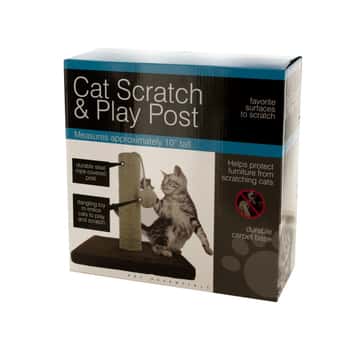 Cat Scratch &amp; Play Post