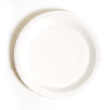 9" Disposable Paper Plates - 8-Pack - White