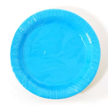 9" Disposable Paper Plates - 8-Pack - Aqua