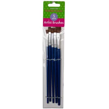 5 Piece Craft Paint Brushes