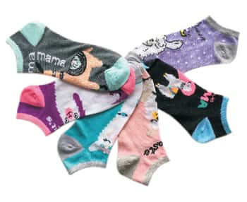 Women's Low Cut Novelty Socks - Llama Print - Size 9-11 - 6-Pair Packs