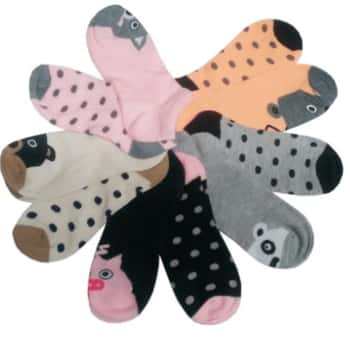 Women's No Show Novelty Socks - Polka Dots & Animals - 10-Pair Packs - Size 9-11