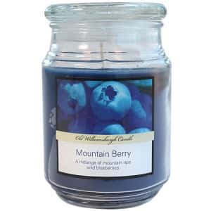Mountain Berry Candle 18 oz. - Nicole Home Collection