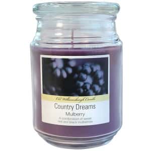 Mulberry Candle 18 oz. - Nicole Home Collection