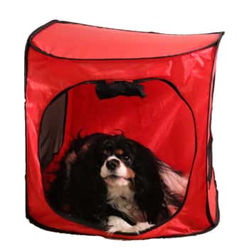 Medium Portable Pop Up Dog Crate