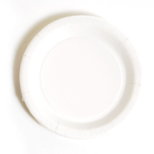 ''9'''' Disposable Paper PLATES - 8-Pack - White''