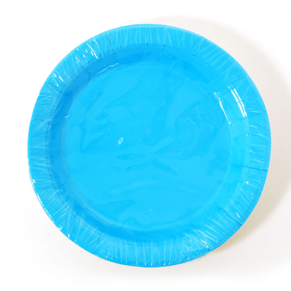 ''9'''' Disposable Paper PLATES - 8-Pack - Aqua''