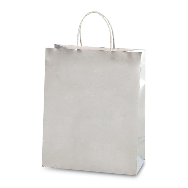 Euro Medium Silver GIFT Bags