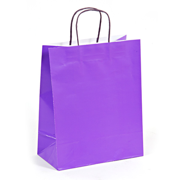 Euro Medium - Bright Purple GIFT Bags