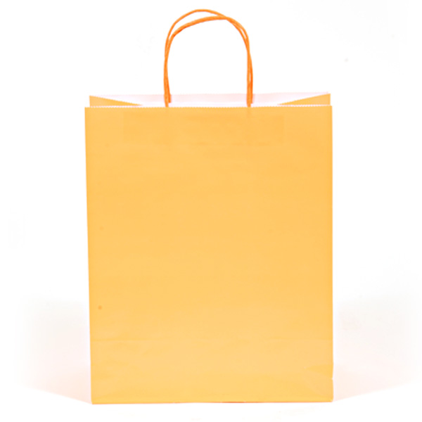 Euro Medium Neon Orange GIFT Bags