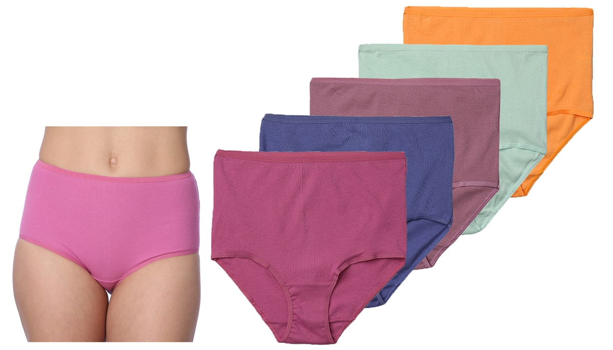 Women's Cotton BRIEF Cut Panties - Assorted Colors - Plus Sizes 8-10