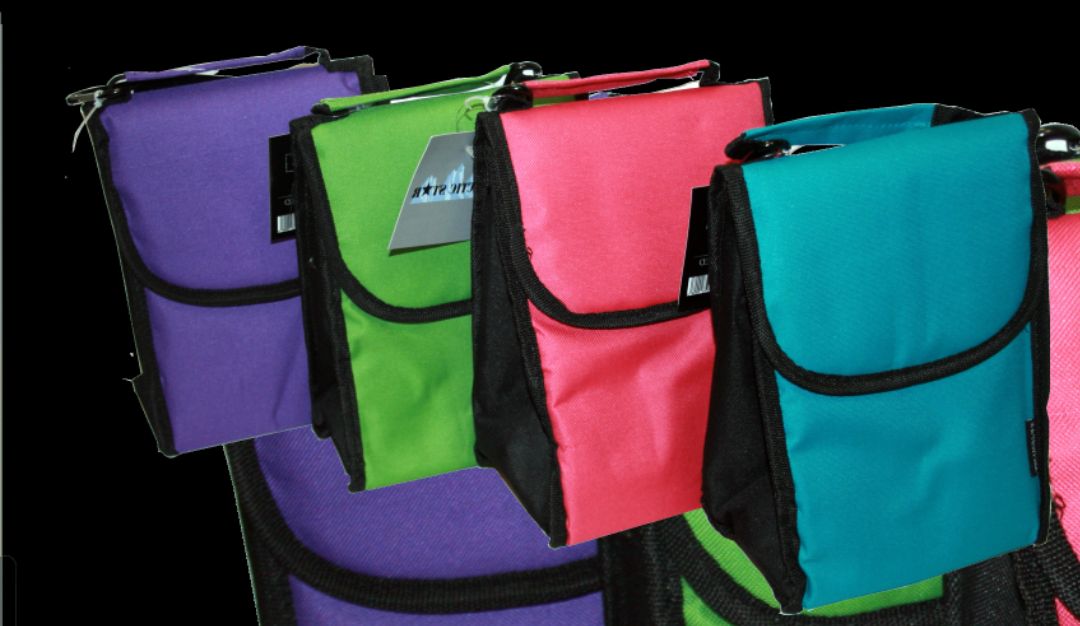 ellen tracy lunch bag