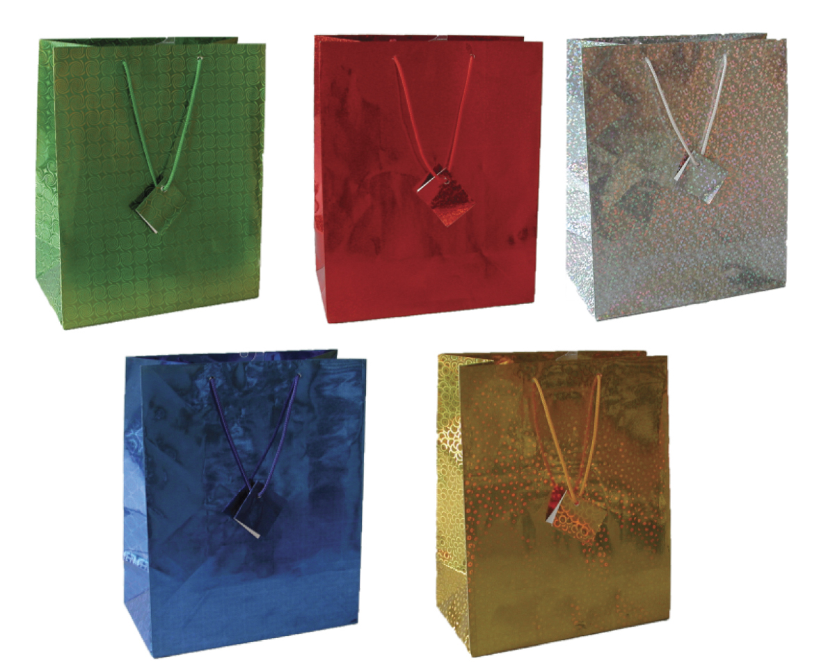 6pc All Occasions Holographic Gift Bags Mixed Colour 22x18 cm Perfect Gift 