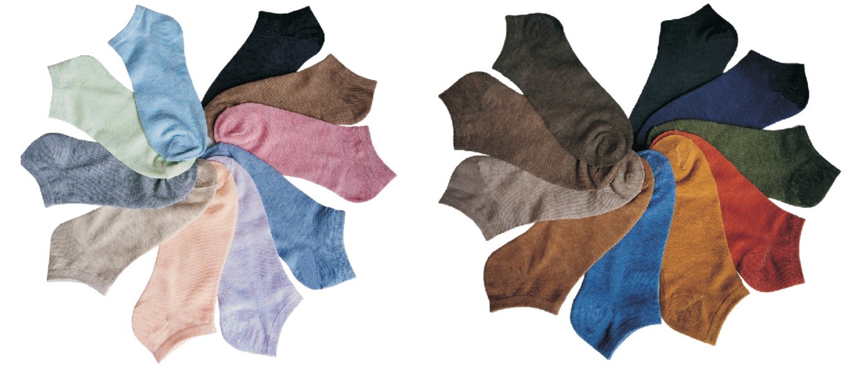 Women's No Show Novelty Socks - Pastel & Autumn Colors - 10-Pair Packs - Size 9-11